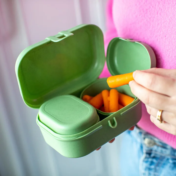 Pascal Ready Mini Lunchbox Set, nature leaf green by Koziol