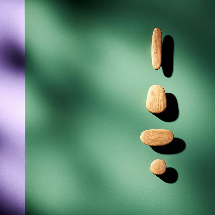 Enki Wall hooks from Schönbuch