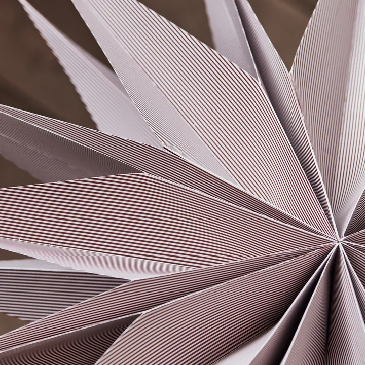 Capella Paper poinsettia from House Doctor