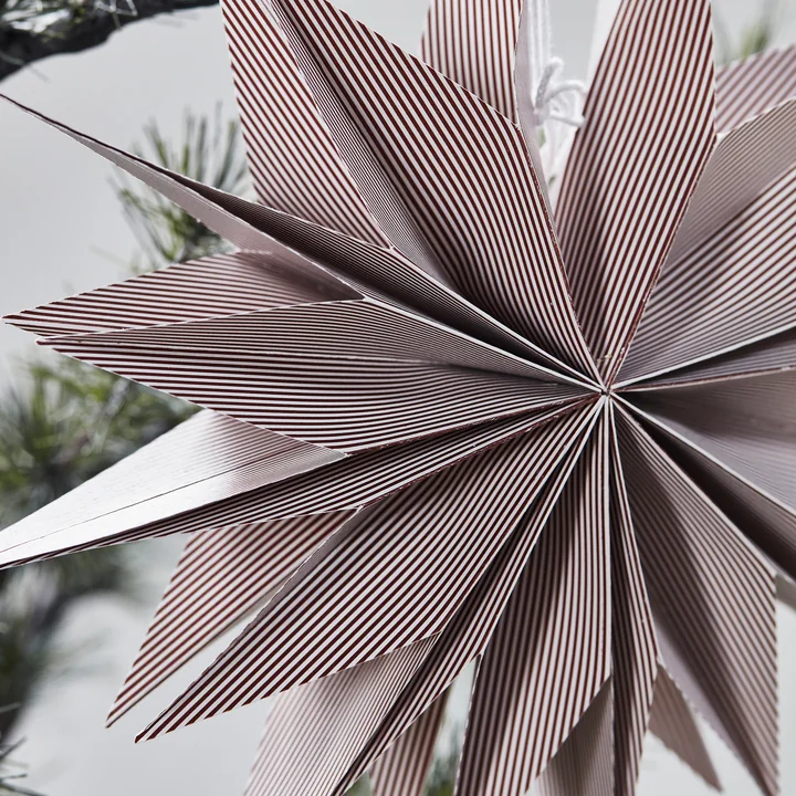 Capella Paper poinsettia from House Doctor