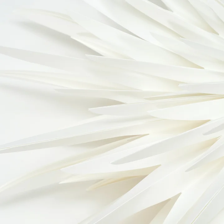 House Doctor - Dust Paper poinsettia