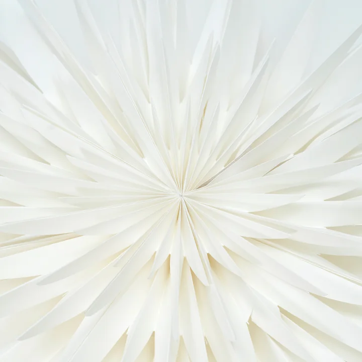 House Doctor - Dust Paper poinsettia