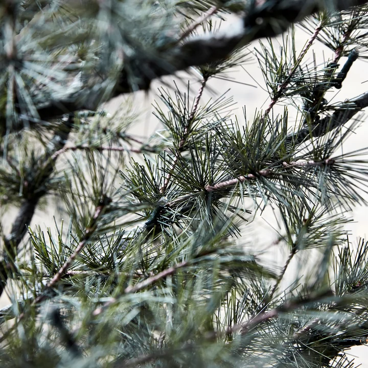 Pin Christmas tree from House Doctor