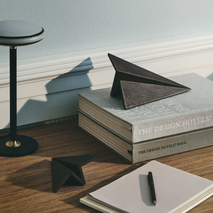 Maverick Wooden airplane from boyhood