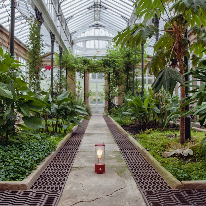 The Muse LED rechargeable table lamp, pomona red from Tala