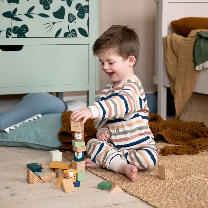 Discovery bricks from Sebra