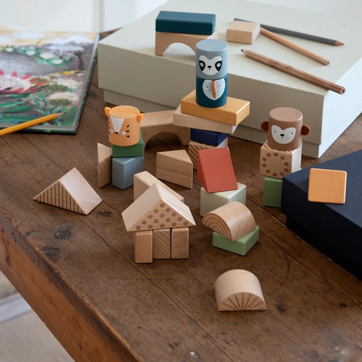 Discovery bricks from Sebra