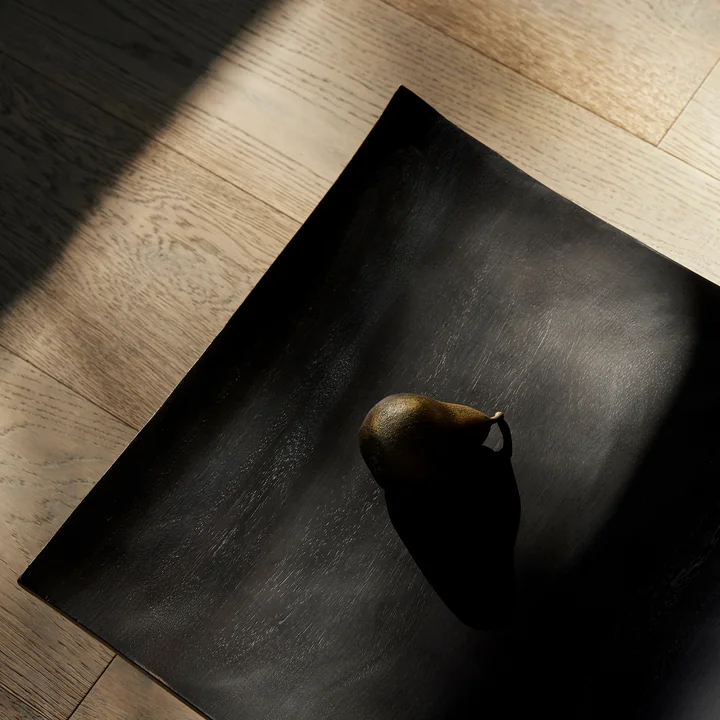 The Relevé shell of Audo