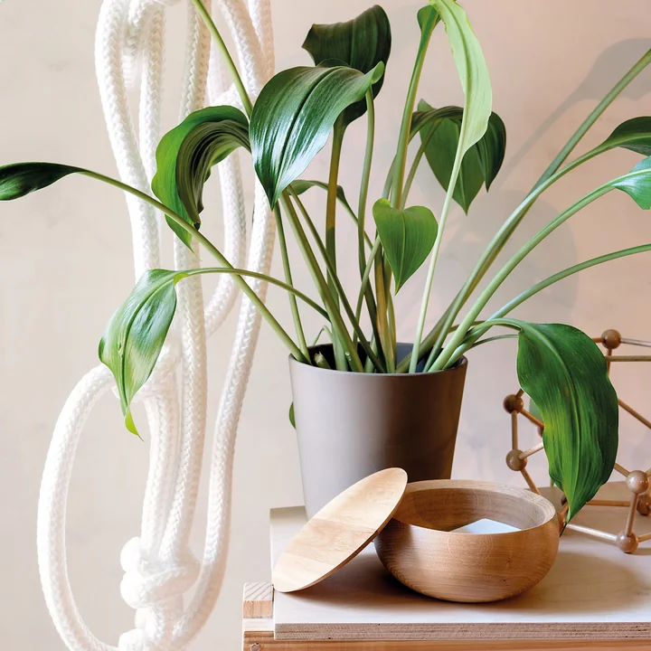 The Bowl from Schönbuch