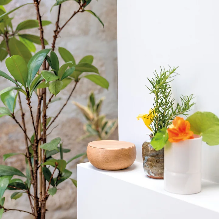 The Bowl from Schönbuch