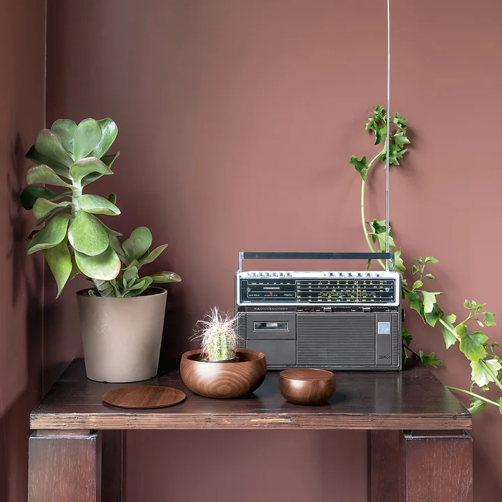 The Bowl from Schönbuch