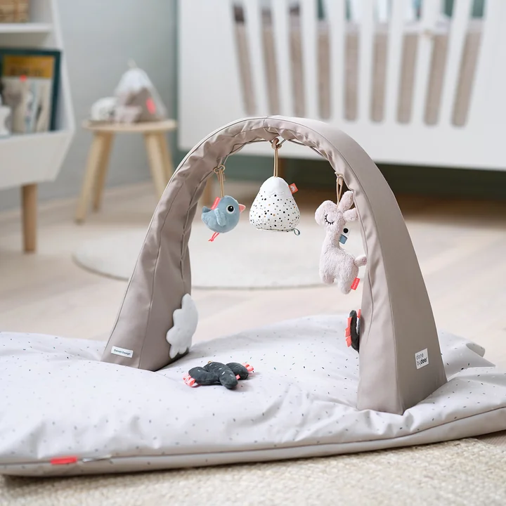 Activity Gym from Done by Deer