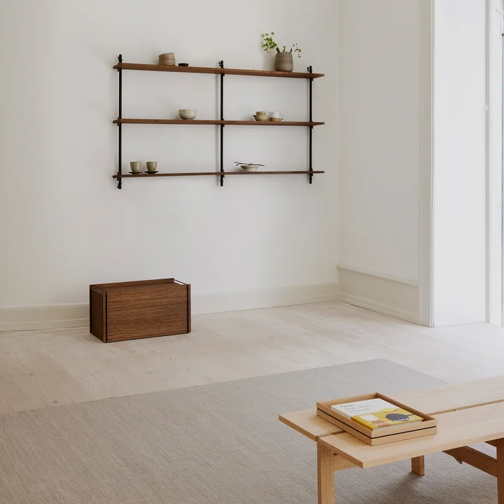 Wall Shelving System from Moebe