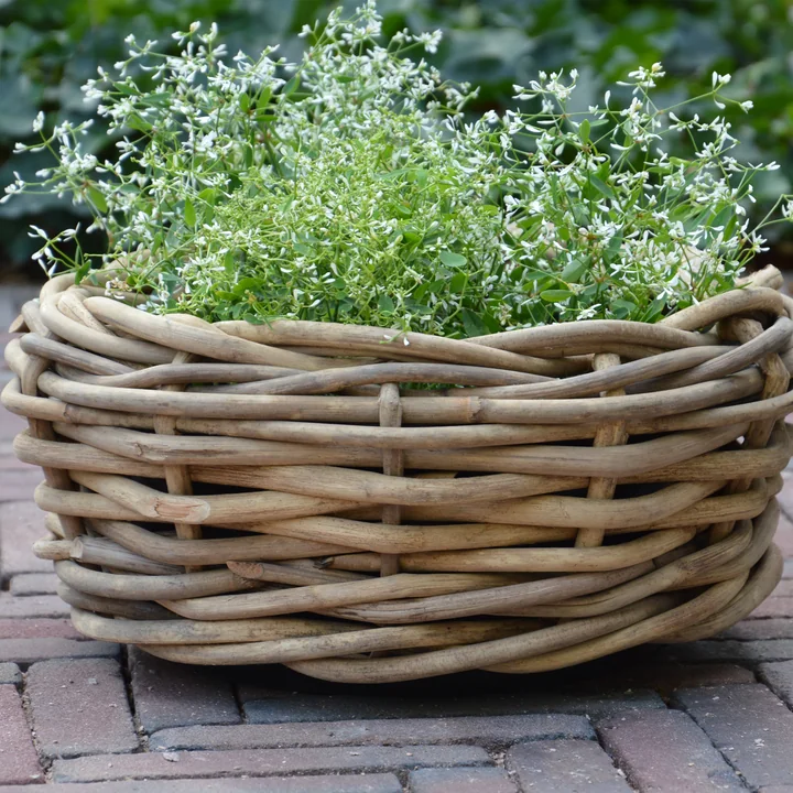 The Palau basket from Jan Kurtz
