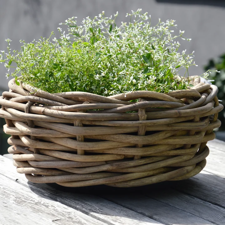 The Palau basket from Jan Kurtz