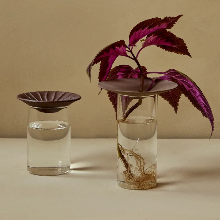 Cresco Propagation vase (set of 2), brown / beige by Audo