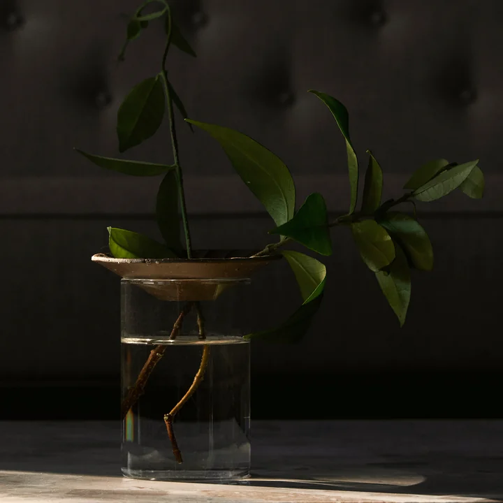 Cresco Propagation vase (set of 2), brown / beige by Audo