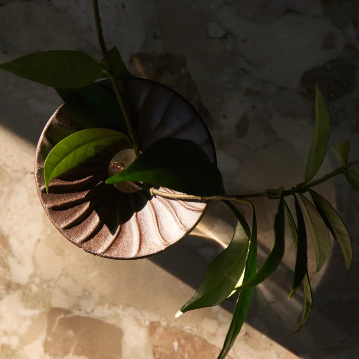 Cresco Propagation vase (set of 2), brown / beige by Audo