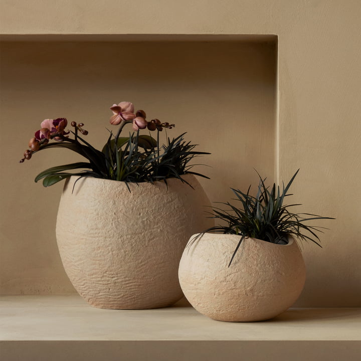 Plantas Plant pots from Audo