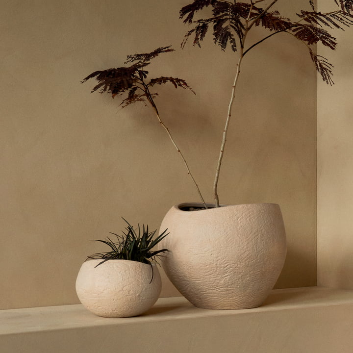 Plantas Plant pots from Audo