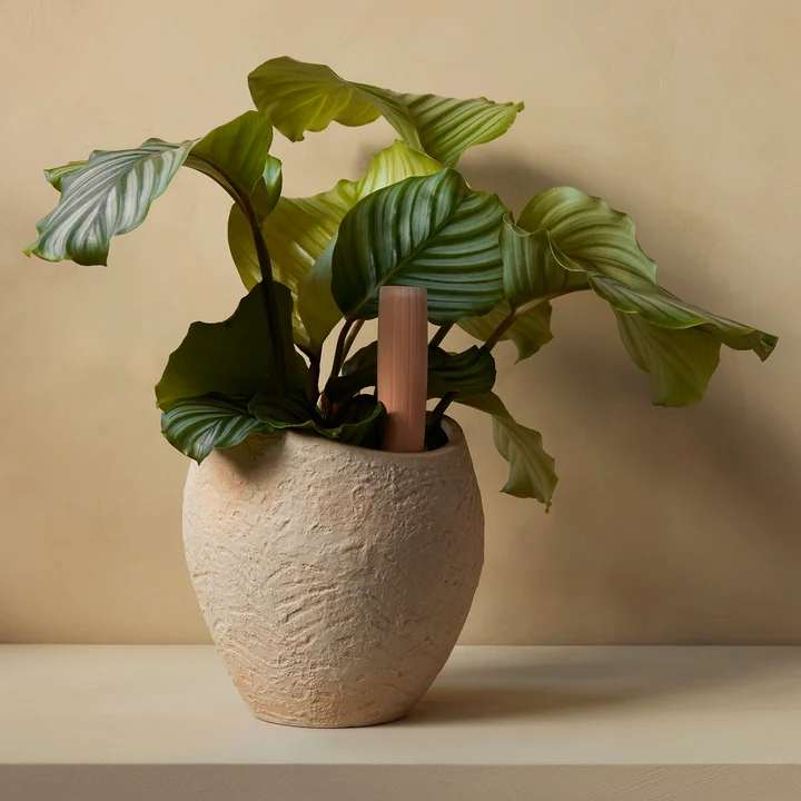Plantas plant pots, Hydrous Watering wand from Audo