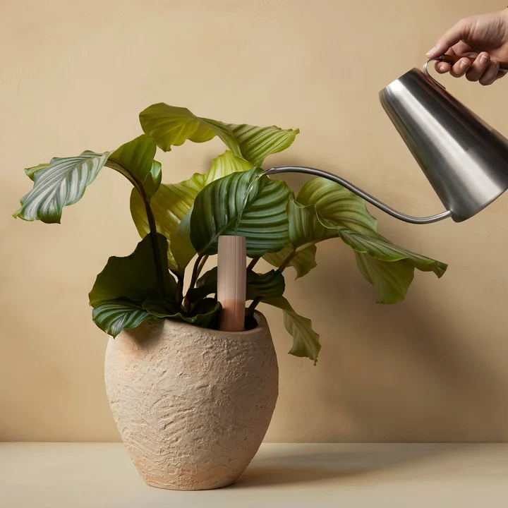 Plantas plant pots, Hydrous Watering wand, Hydrous Watering can from Audo