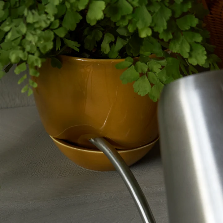 Hydrous Plant pot, Ø 12 cm, ocher from Audo