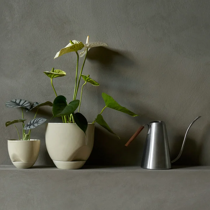 Hydrous Plant pot, ash gray from Audo