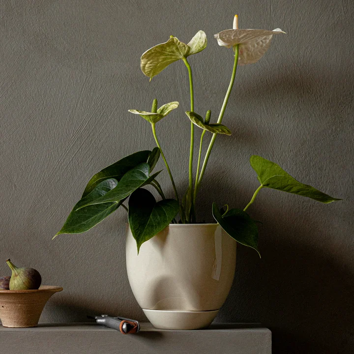 Hydrous Plant pot, Ø 20 cm, ash gray from Audo