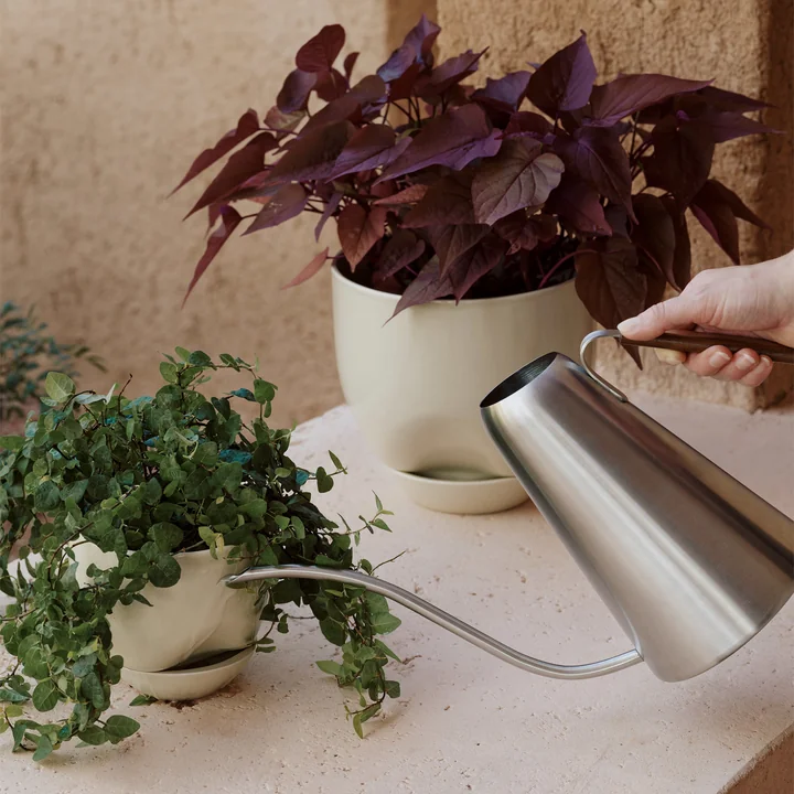 The Hydrous series of Audo