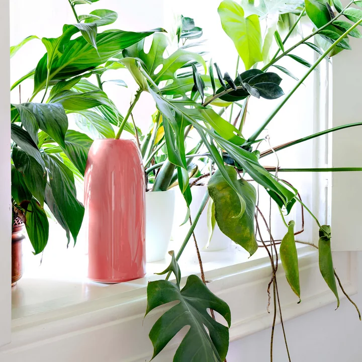 Schönbuch - Carla Vase