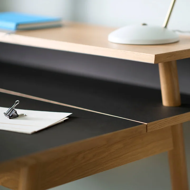 C68 Nørrebro Desk from FDB Møbler