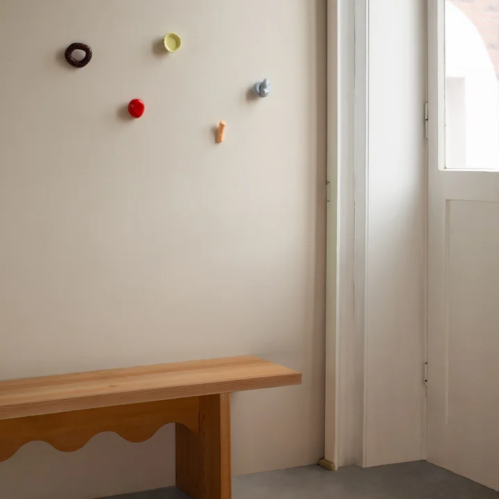 Fossil Wall hooks set of 5 from Schneid