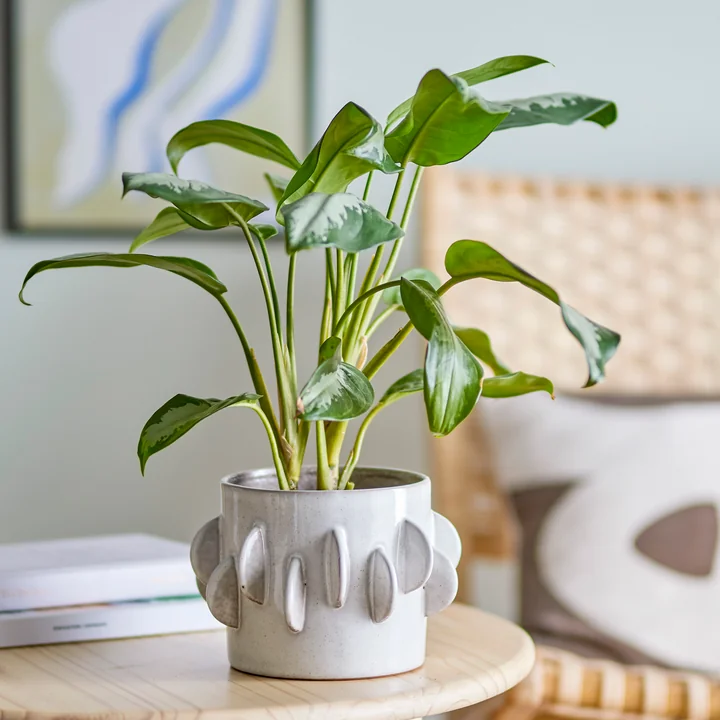 Bloomingville - Roza Flower pot