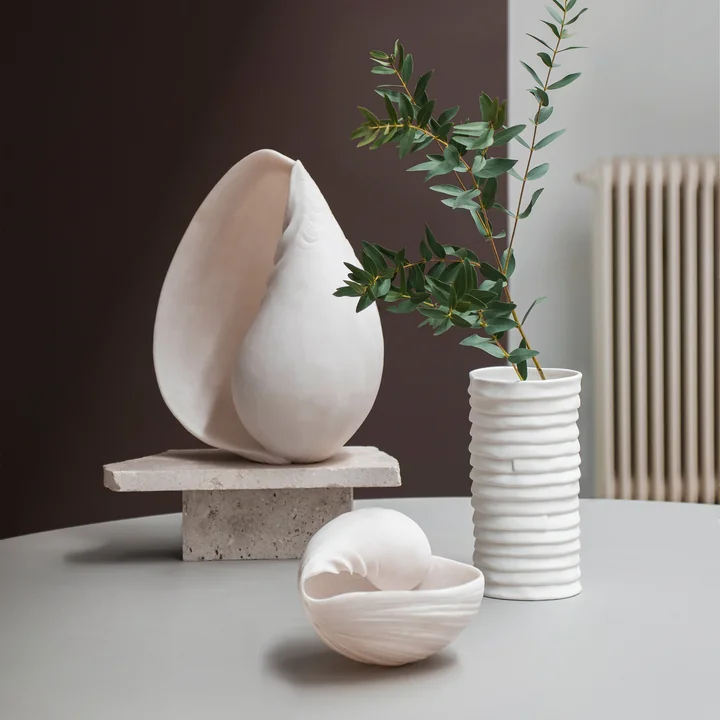 Conch Shells from Mette Ditmer