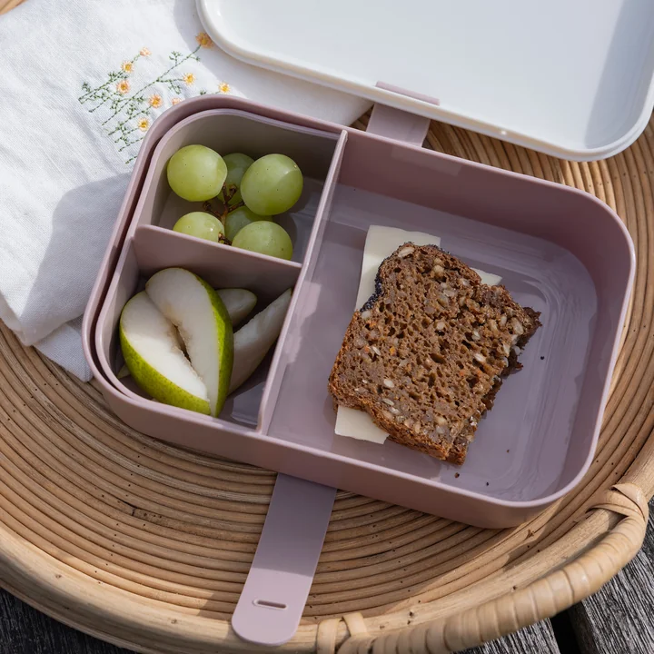 Lunchbox with silicone strap from Sebra