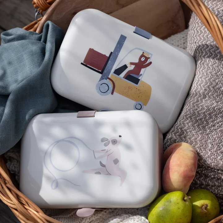 Lunchbox with silicone strap from Sebra