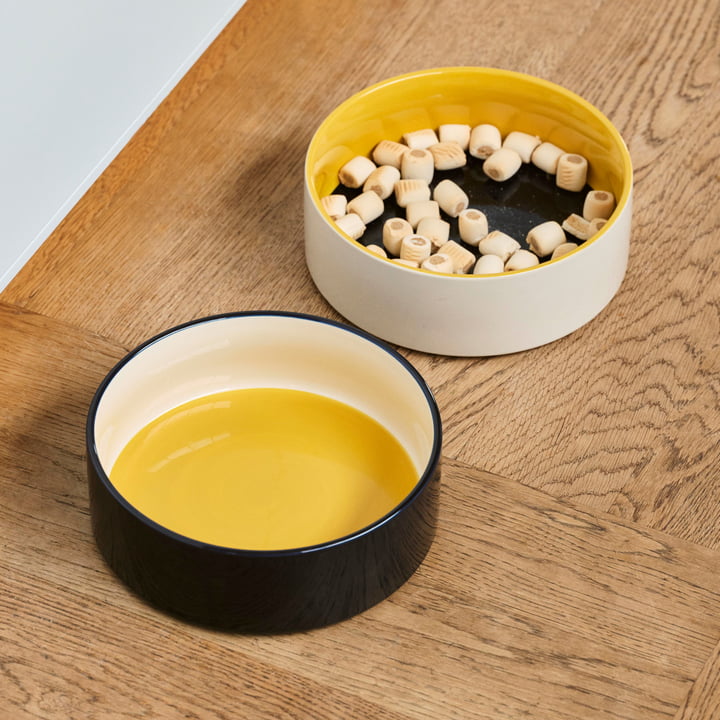 Dogs Food bowl, L, blue / yellow from Hay