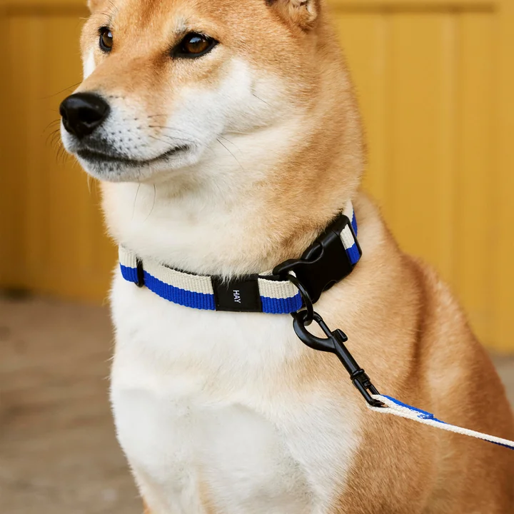 Dogs Dog collar, M/L blue / off-white from HAY