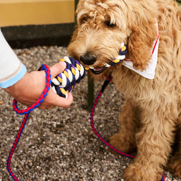 Dogs Rope toy, blue / purple / ochre from Hay