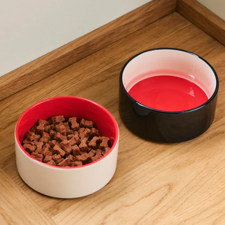 Dogs Food bowl, blue / red from HAY