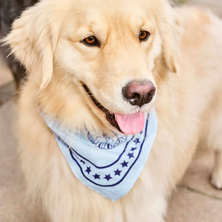 Dogs Dog towel 55 x 55 cm, light blue from HAY