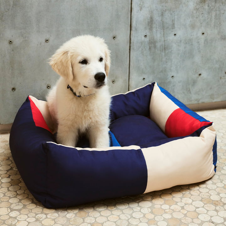 Dog bed, M, red / blue from Hay