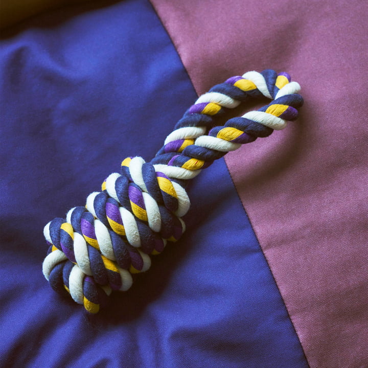 Dogs Rope toy, blue / purple / ochre from Hay