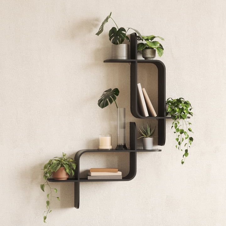 Montage Floating shelf, rubberwood black from Umbra