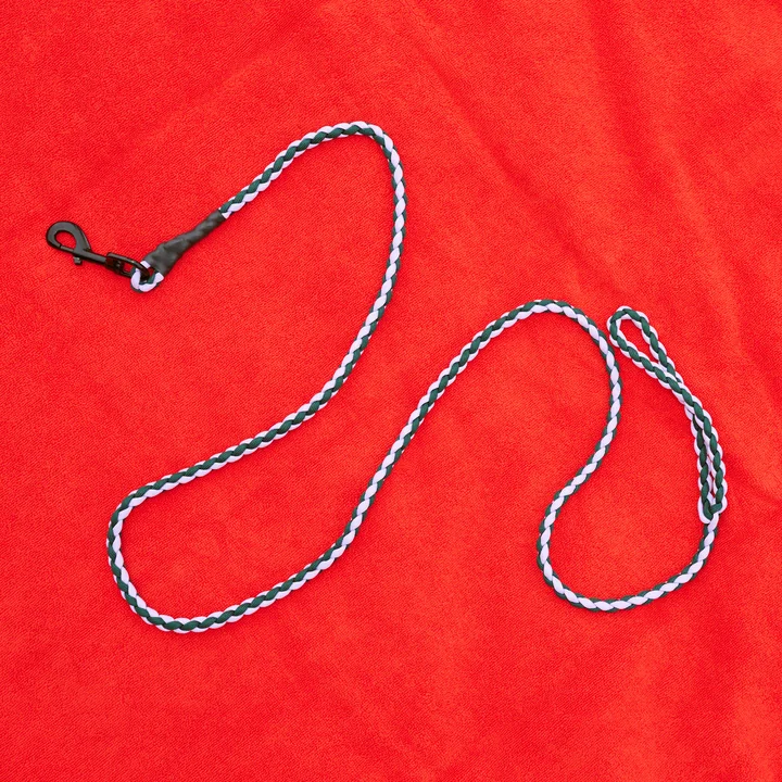 HAY - Dogs Dog lead, braided, lavender / green
