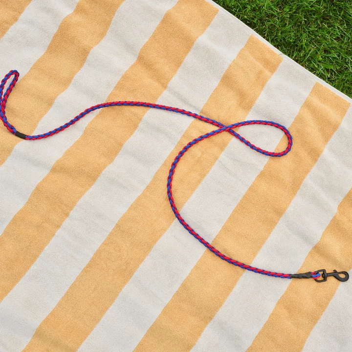 HAY - Dogs Dog lead, braided, red / blue