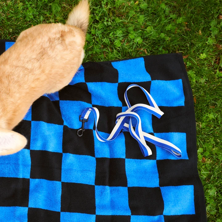 HAY - Dogs Dog lead, M/L blue / off-white