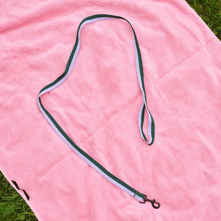 HAY - Dogs Dog lead, M/L lavender / green