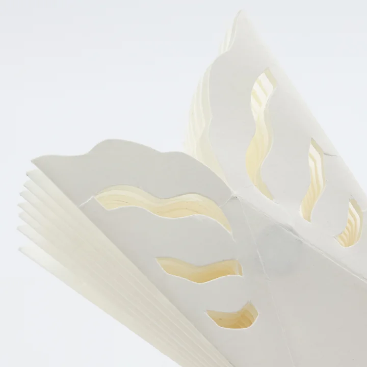 Snowflake from House Doctor